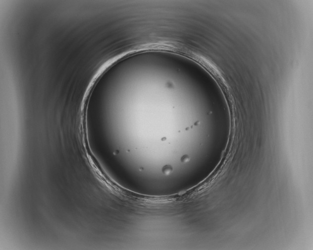 X0000116371200200912091231