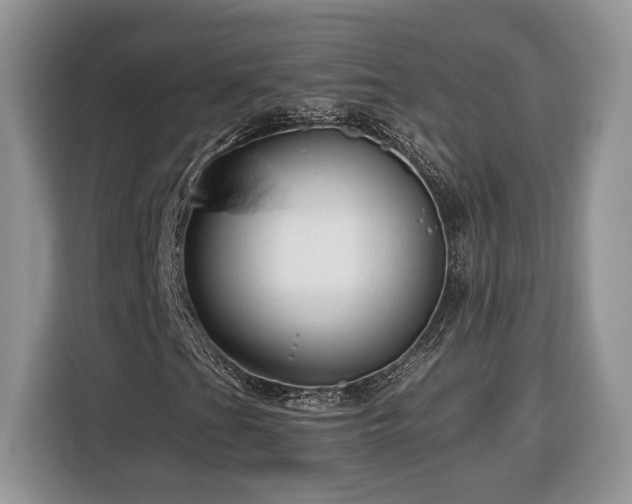 X0000116371201200912091231