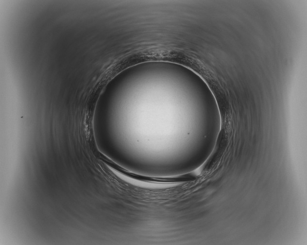 X0000116371202200912091231