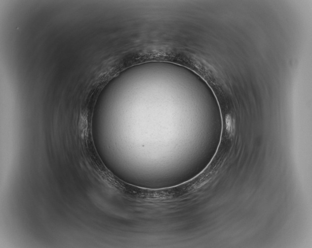 X0000116371203200912091231