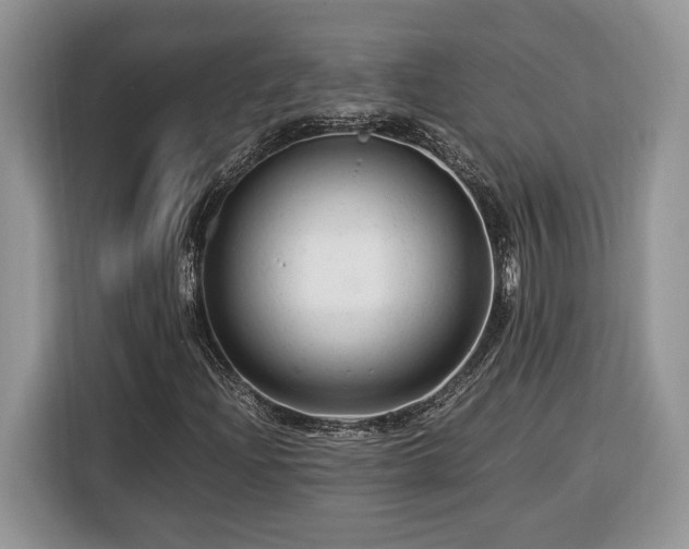 X0000116371204200912091231