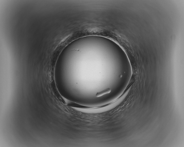 X0000116371205200912091231