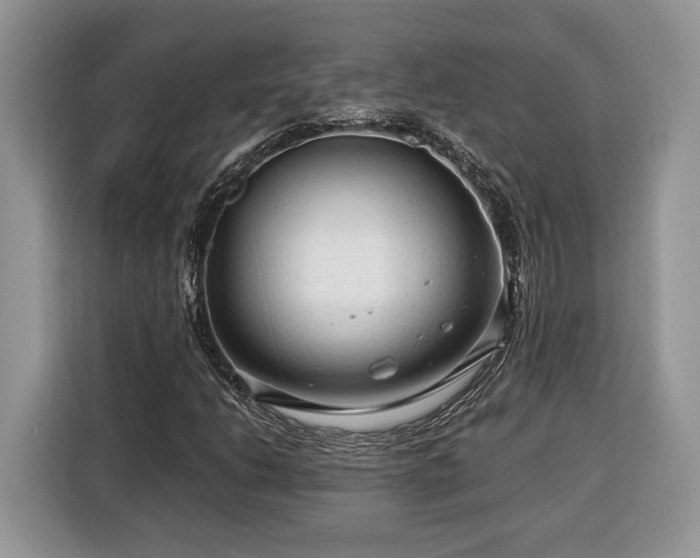X0000116371206200912091231