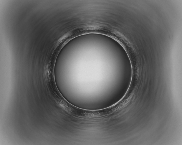 X0000116371210200912091231