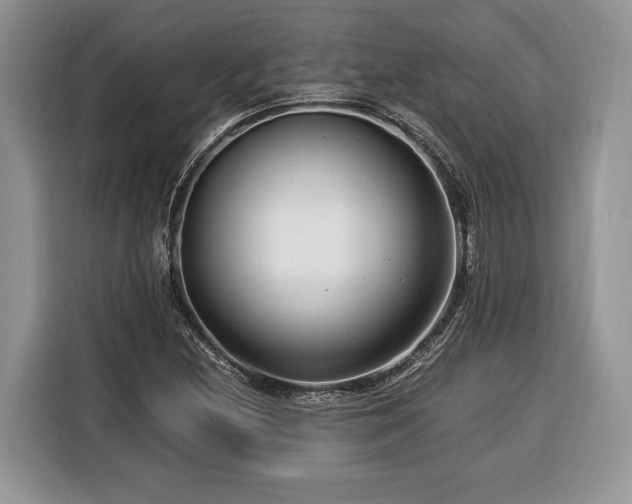 X0000116371212200912091231