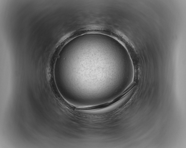 X0000116371213200912091231