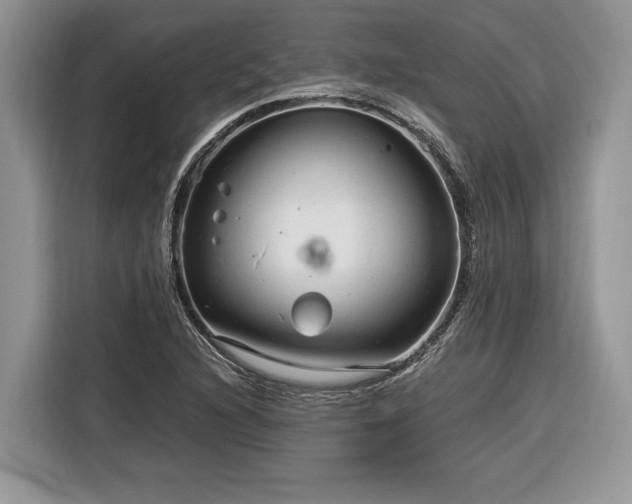 X0000116371216200912091231
