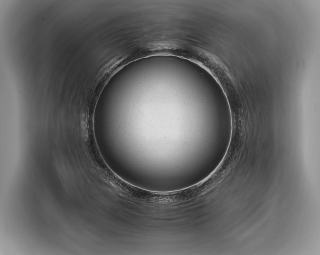 X0000116371217200912091231