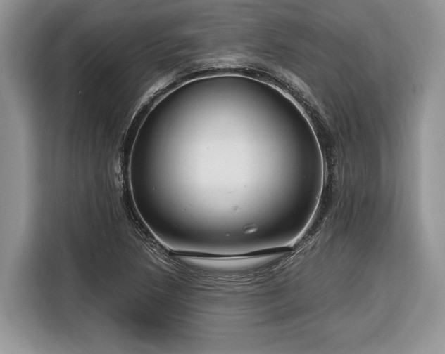 X0000116371218200912091231