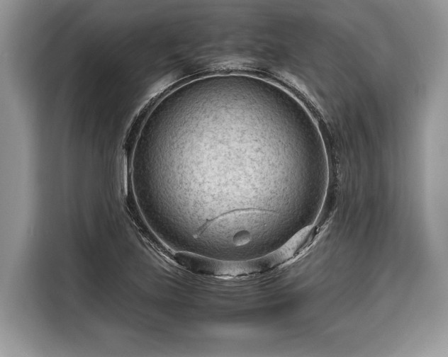 X0000116371219200912091231