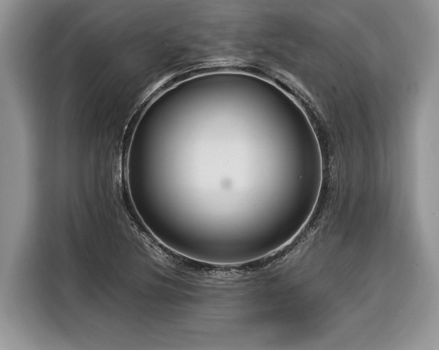 X0000116371220200912091231
