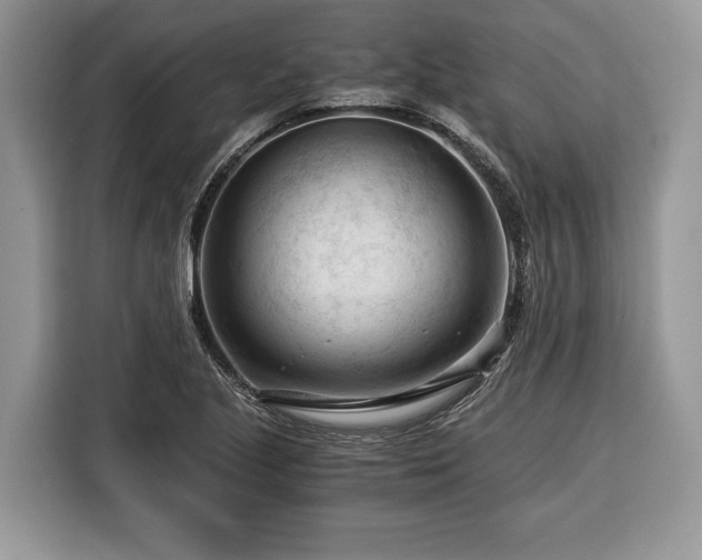 X0000116371221200912091231