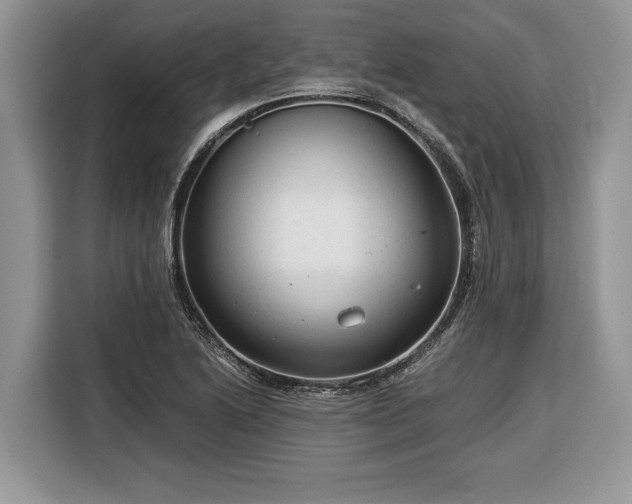 X0000116371222200912091231