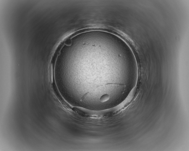X0000116371223200912091231