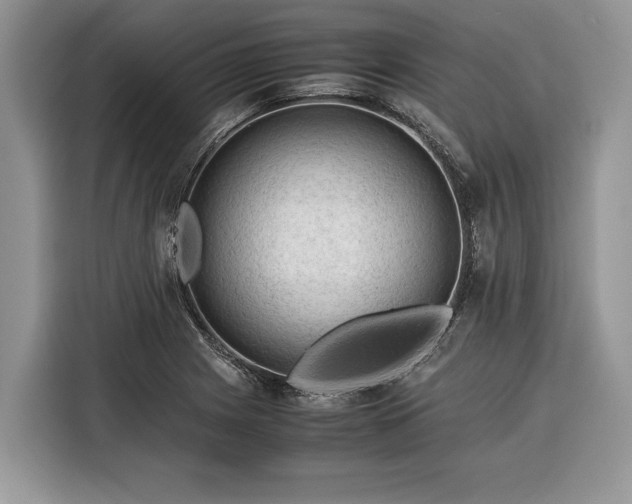X0000116371225200912091231