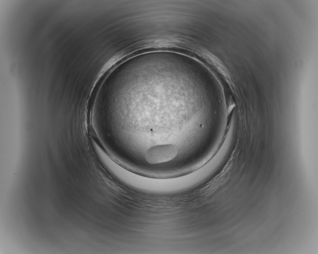 X0000116371226200912091231