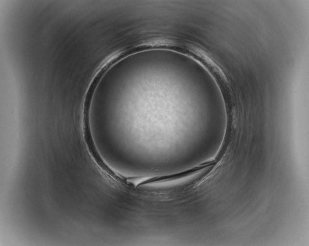 X0000116371229200912091231