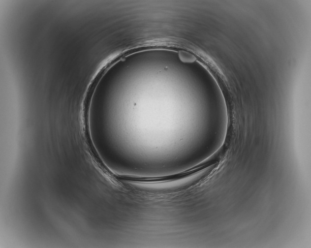 X0000116371230200912091231