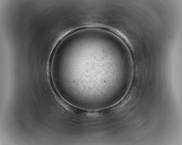 X0000116371231200912091231
