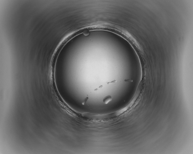 X0000116371232200912091231