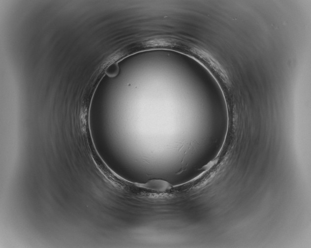 X0000116371233200912091231