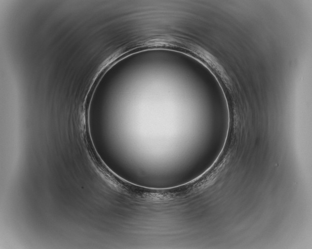 X0000116371234200912091231