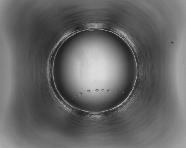 X0000116371235200912091231