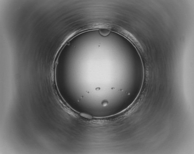 X0000116371236200912091231