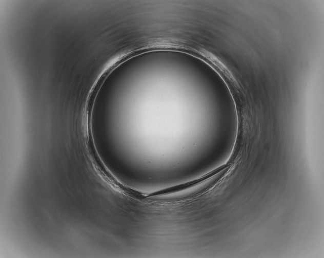 X0000116371238200912091231