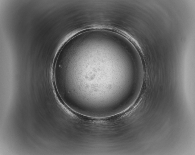 X0000116371239200912091231