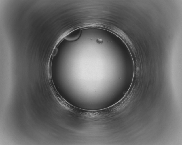 X0000116371242200912091231
