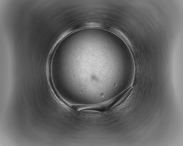 X0000116371243200912091231