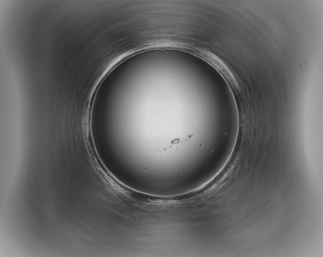 X0000116371244200912091231