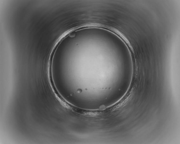 X0000116371245200912091231