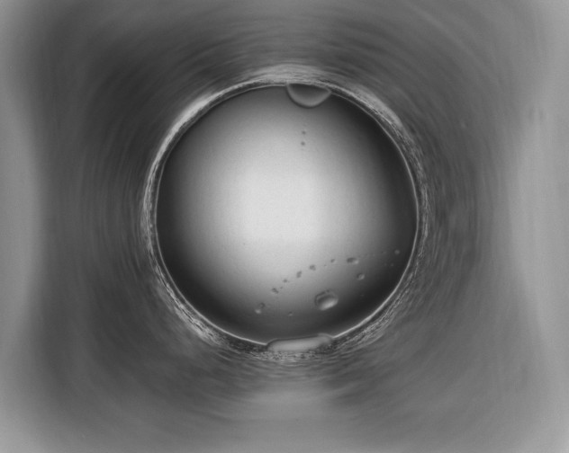 X0000116371248200912091231