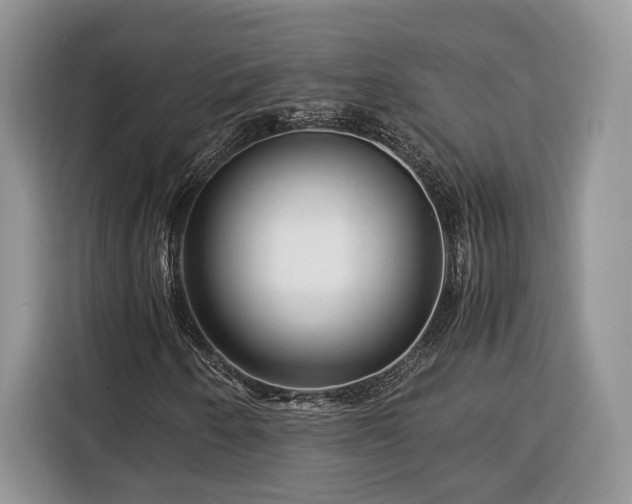 X0000116371250200912091231