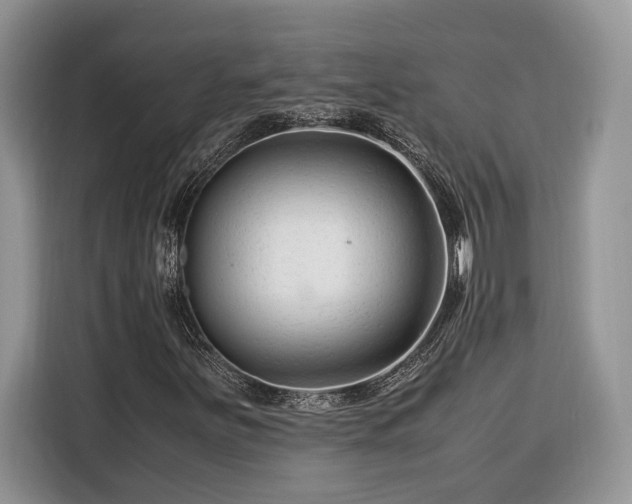 X0000116371251200912091231