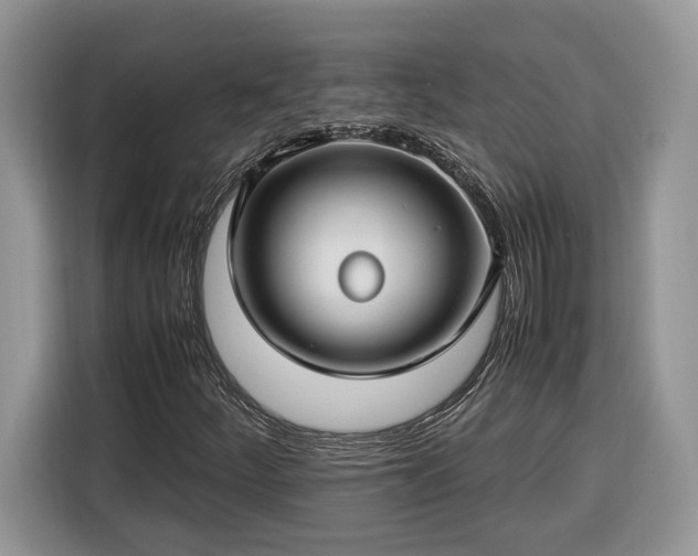 X0000116371252200912091230
