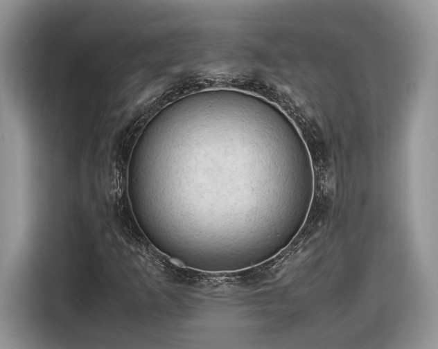 X0000116371253200912091230
