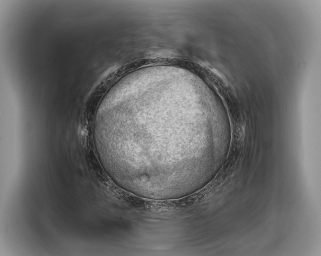 X0000116371254200912091230