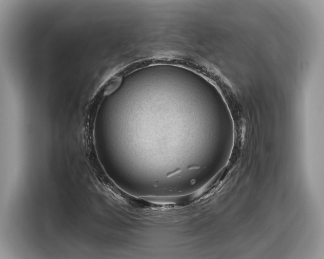 X0000116371256200912091230