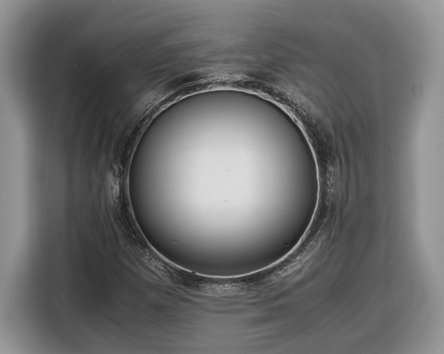X0000116371257200912091230