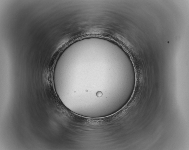 X0000116371258200912091230
