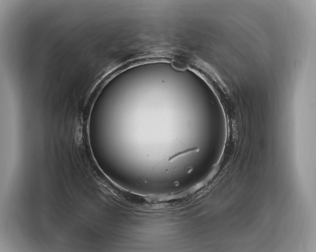 X0000116371260200912091230