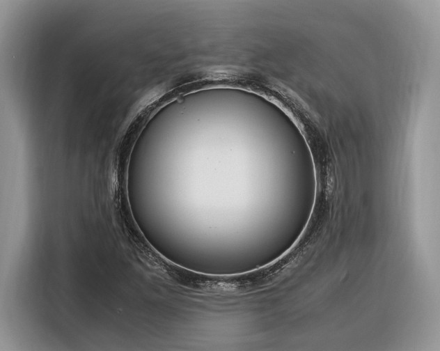 X0000116371261200912091230