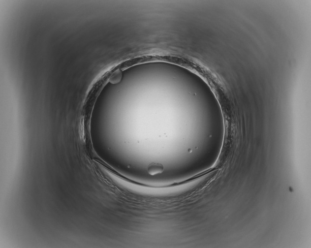 X0000116371262200912091230