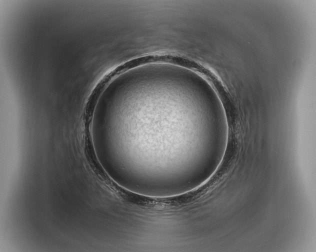 X0000116371263200912091230