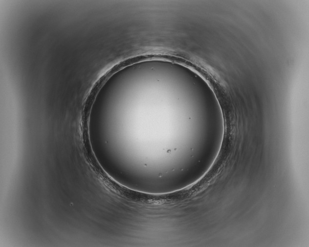 X0000116371264200912091230