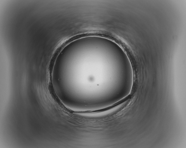 X0000116371267200912091230