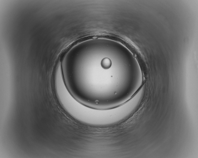 X0000116371269200912091230